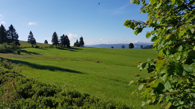 La Bresse été : www.petitecaille.fr